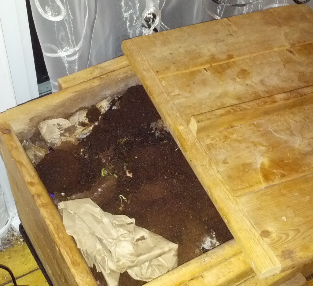 vermicompost_pic